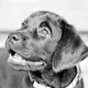 Meet your Posher, Dr. katey